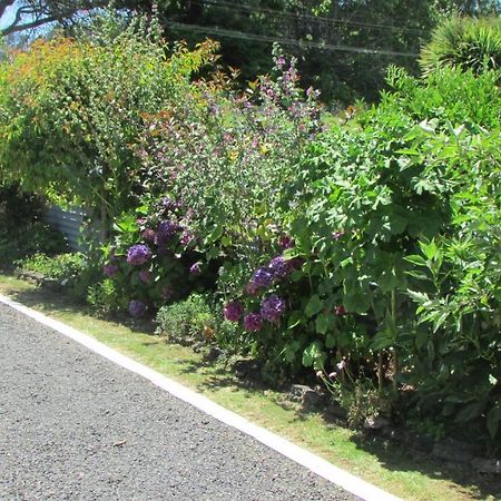Ferienwohnung Cozy Haven - Waihi Exterior foto