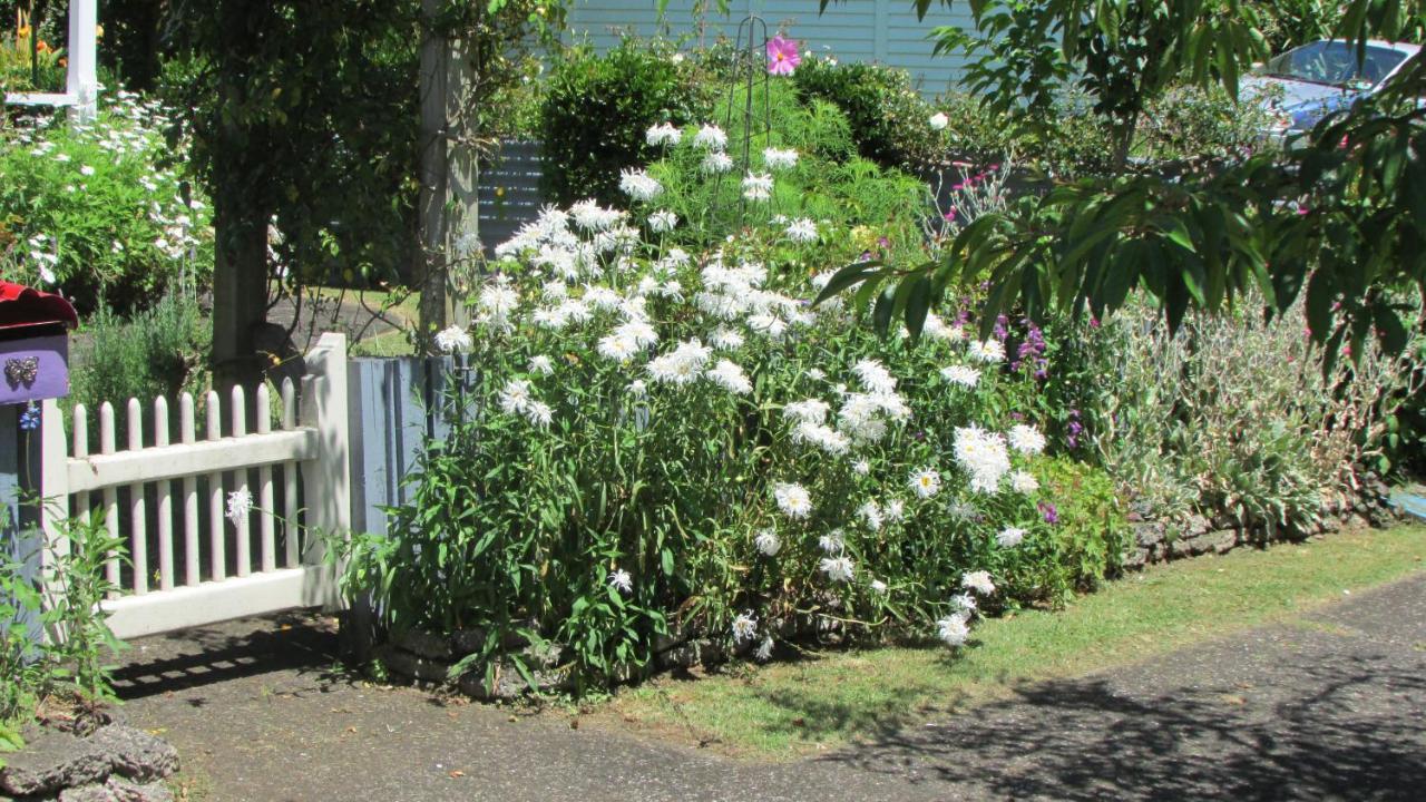 Ferienwohnung Cozy Haven - Waihi Exterior foto