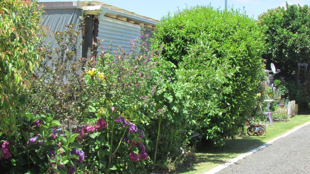 Ferienwohnung Cozy Haven - Waihi Exterior foto